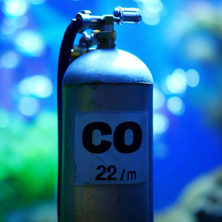 Jaka butla CO2 do akwarium 200l