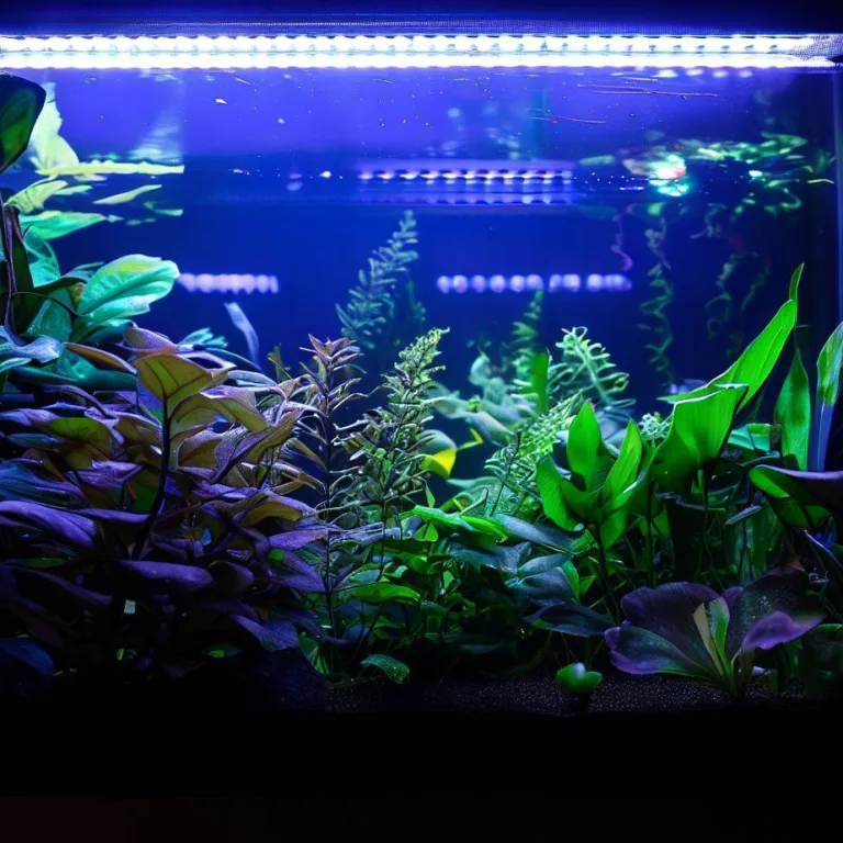 Jakie oświetlenie do akwarium roślinnego 200l